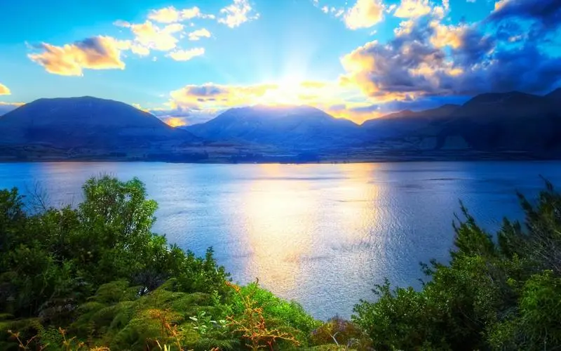 先进全自动工业